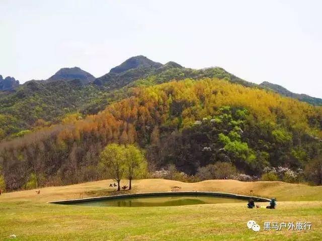 竞技宝登录